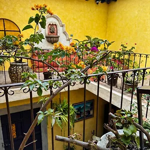  Hostal Maison Bougainvillea
